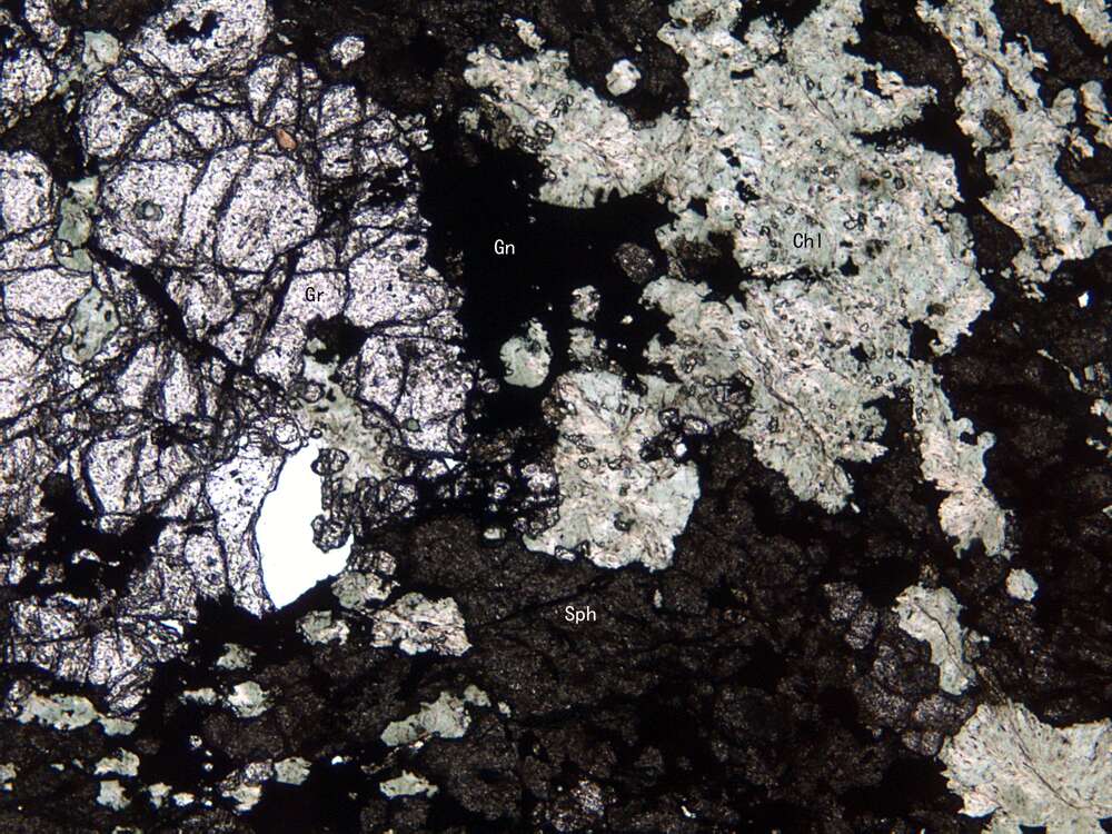 含铅锌矿矽卡岩