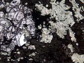 含铅锌矿矽卡岩