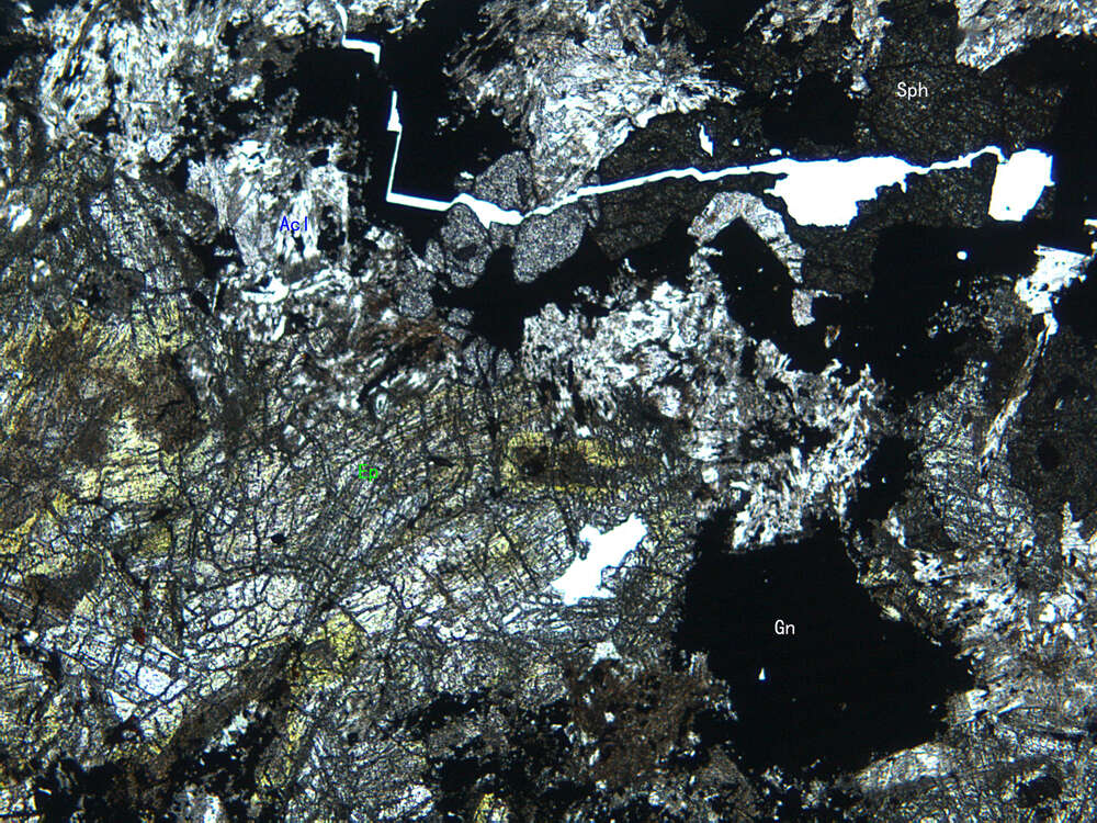 含铅锌矿矽卡岩