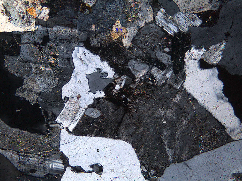 细-中粒二长花岗岩