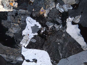 细-中粒二长花岗岩