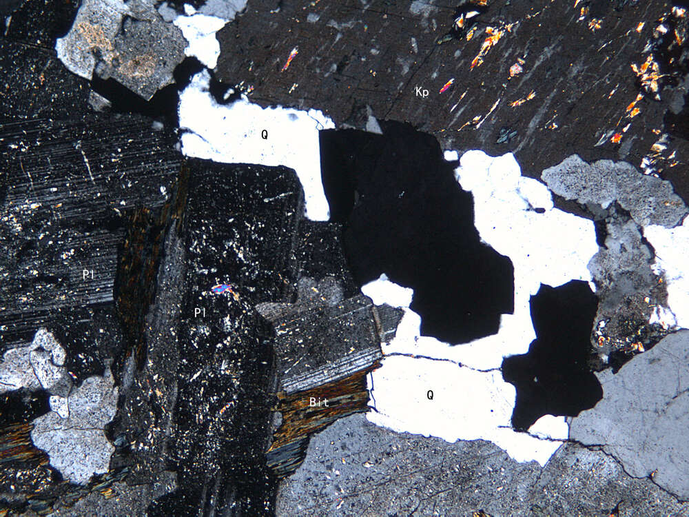 细中粒二长花岗岩