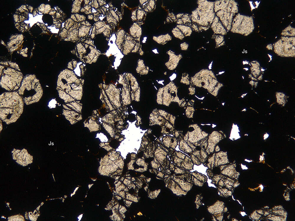 黄铜矿磁铁矿石榴石矽卡岩