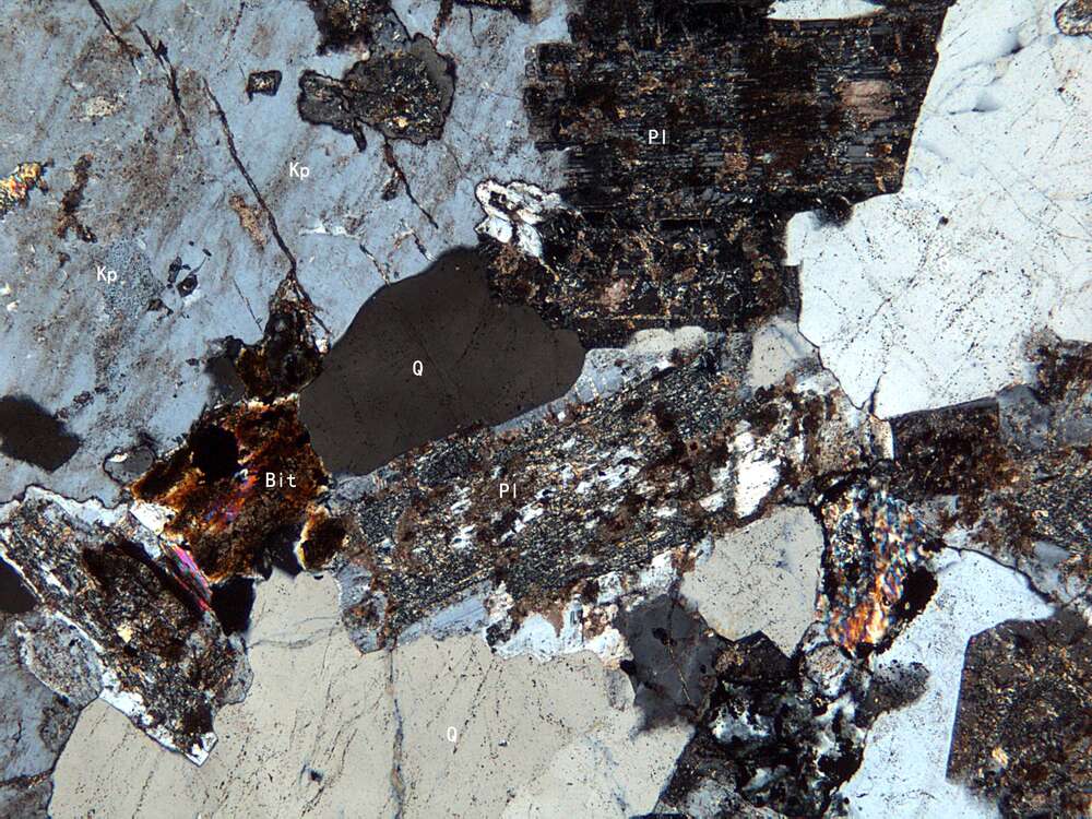 中细粒白云母二长花岗岩