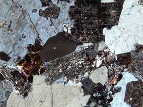 中细粒白云母二长花岗岩