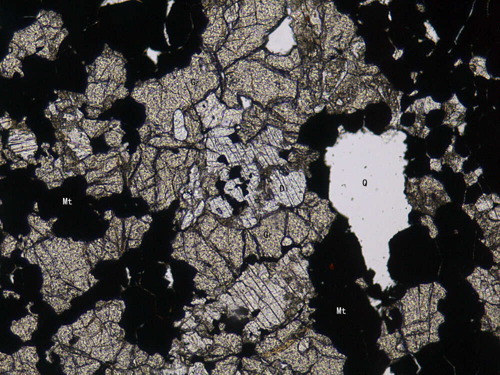 矿化透辉石榴石矽卡岩
黄铜故磁铁矿矿石