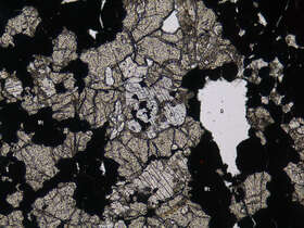 矿化透辉石榴石矽卡岩
黄铜故磁铁矿矿石