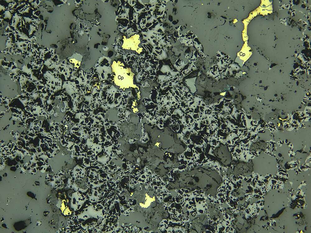 矿化透辉石榴石矽卡岩
黄铜故磁铁矿矿石