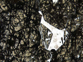 铜矿化石榴石矽卡岩