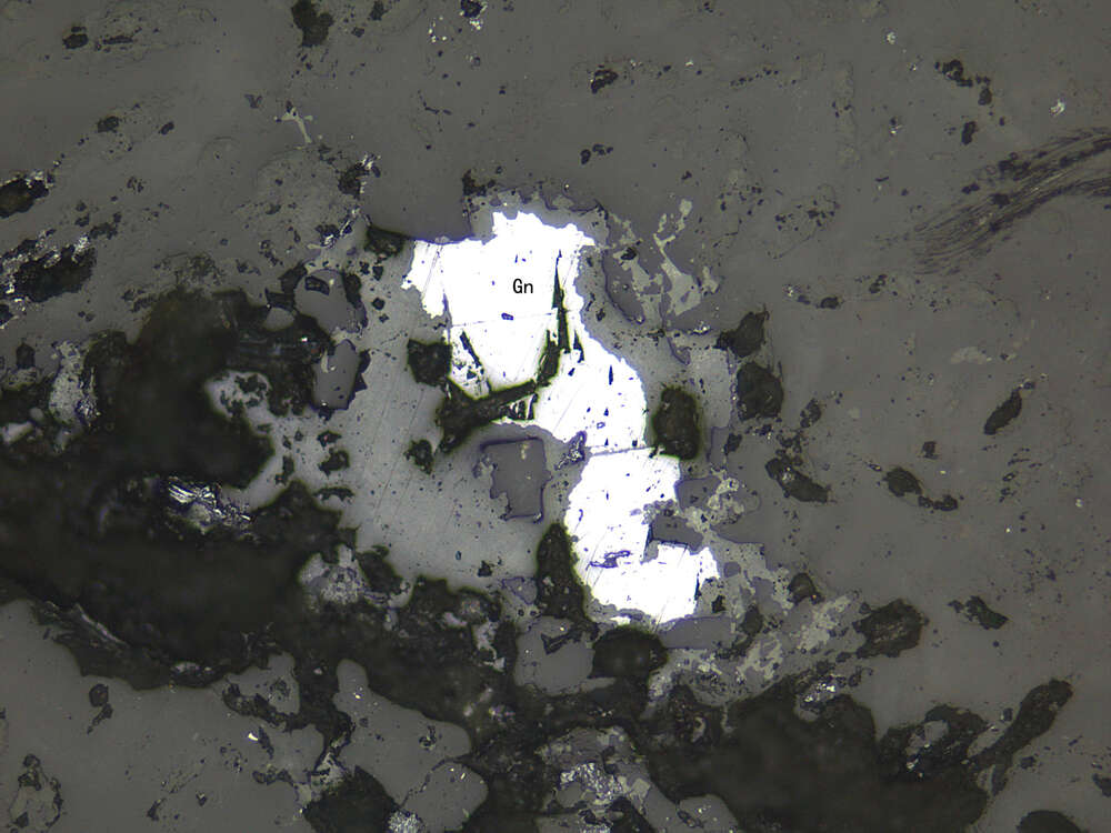 铜矿化石榴石矽卡岩