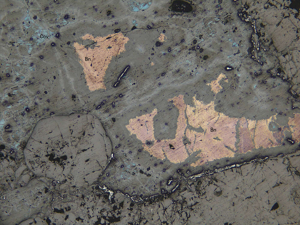 铜矿化碎裂化蚀变石榴石矽卡岩