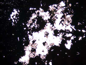 赤铁矿化磁铁矿矿石（块状）