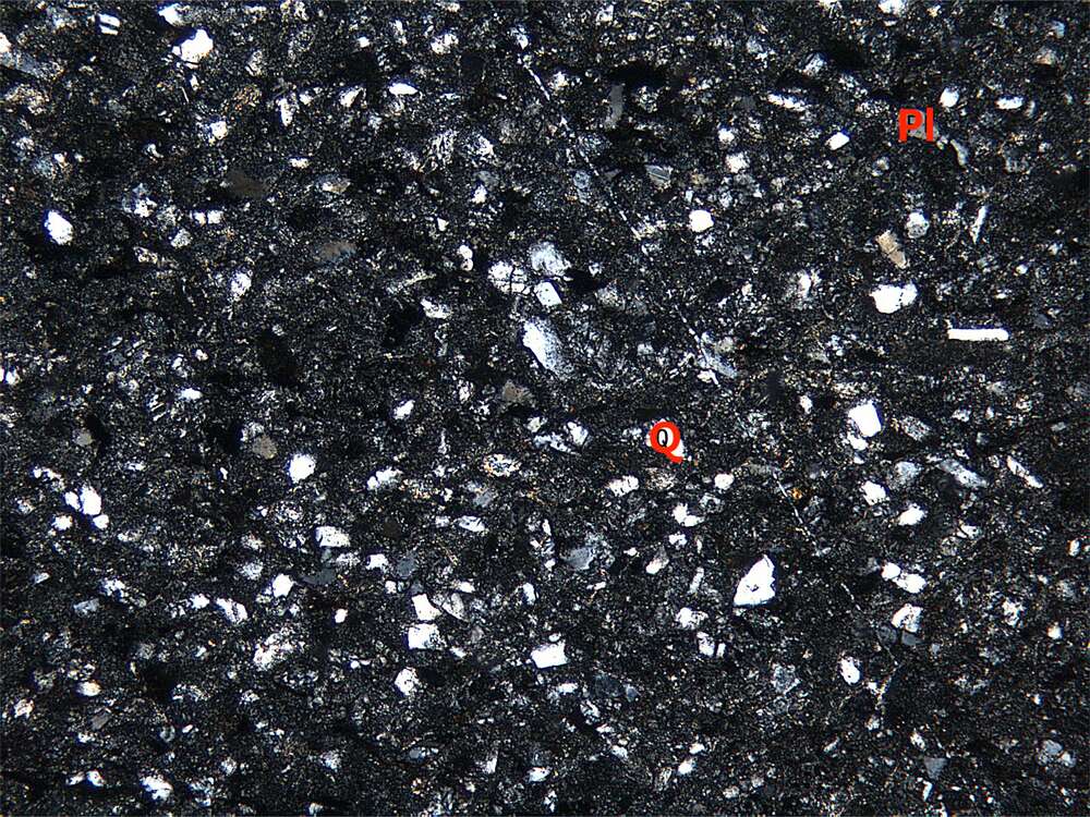 凝灰质粉砂-细砂状结构