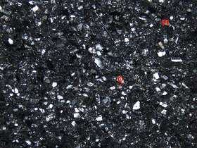 凝灰质粉砂-细砂状结构