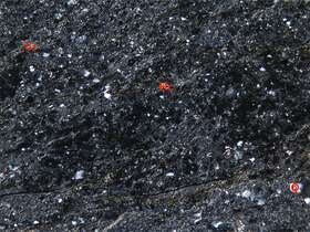 凝灰质细砂状结构