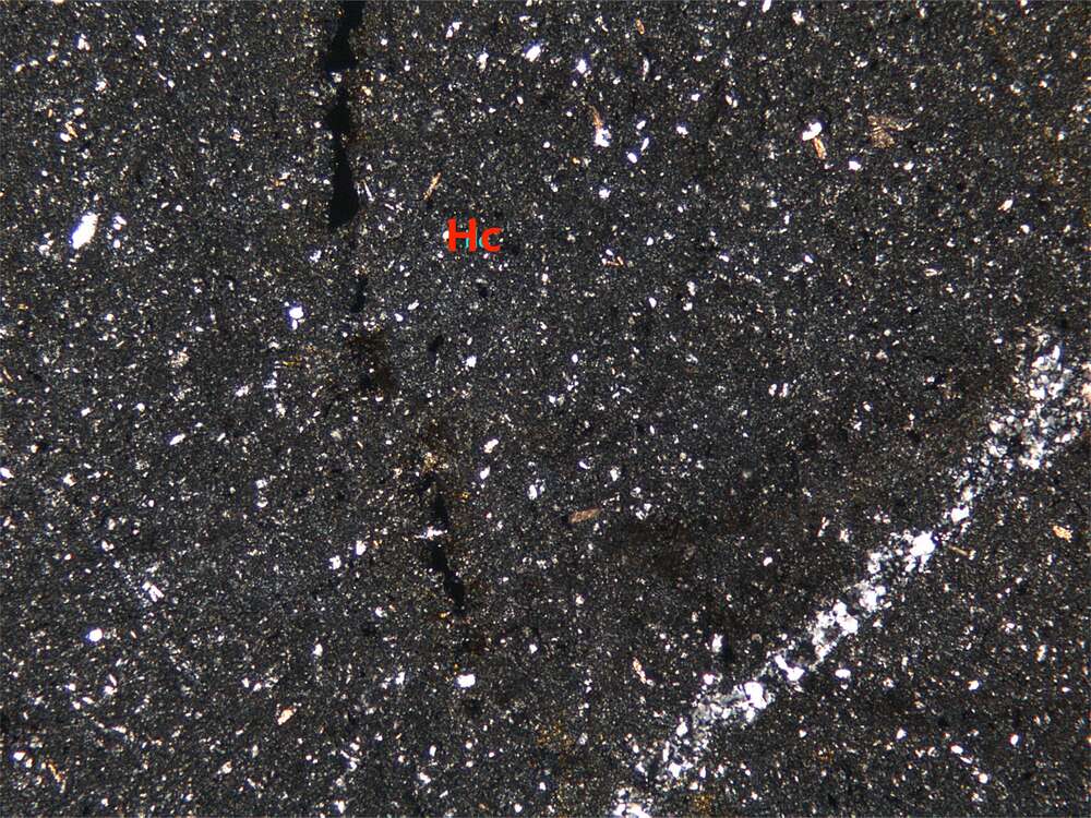 凝灰质粉砂结构