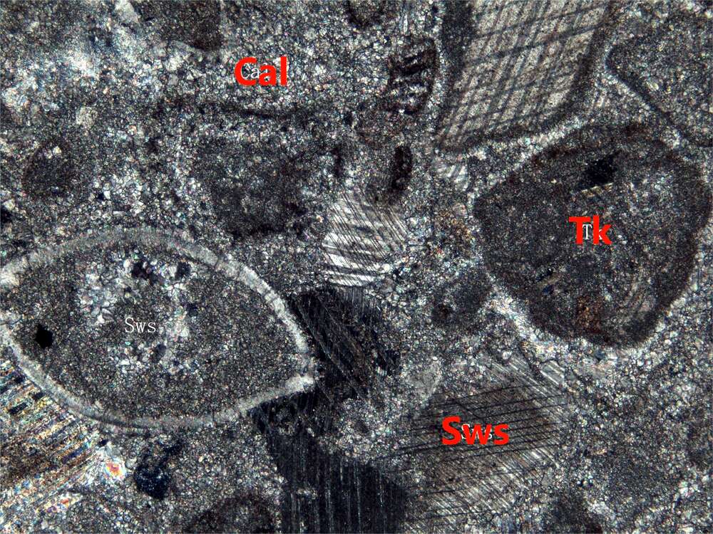 团块生物碎屑微晶灰岩