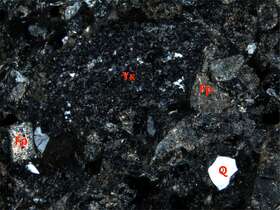 不等粒岩屑砂岩