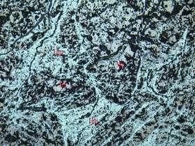 赤铁矿化磁铁矿矿石
