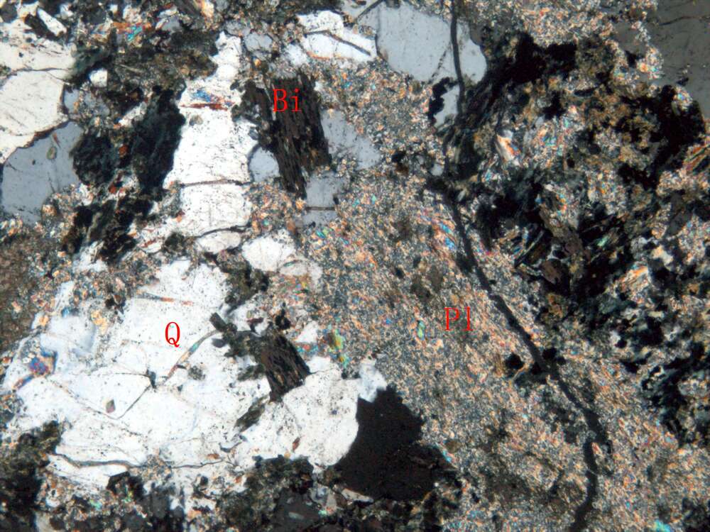 蚀变石英闪长岩