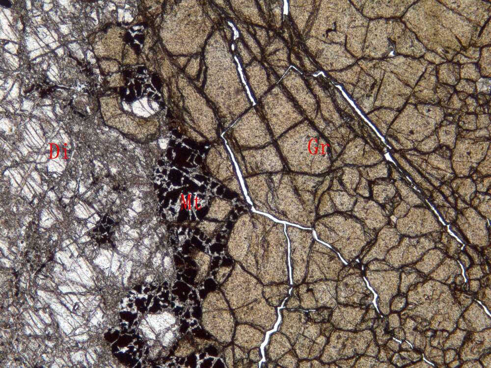 含铜磁铁矿化石榴石矽卡岩