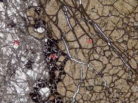 含铜磁铁矿化石榴石矽卡岩