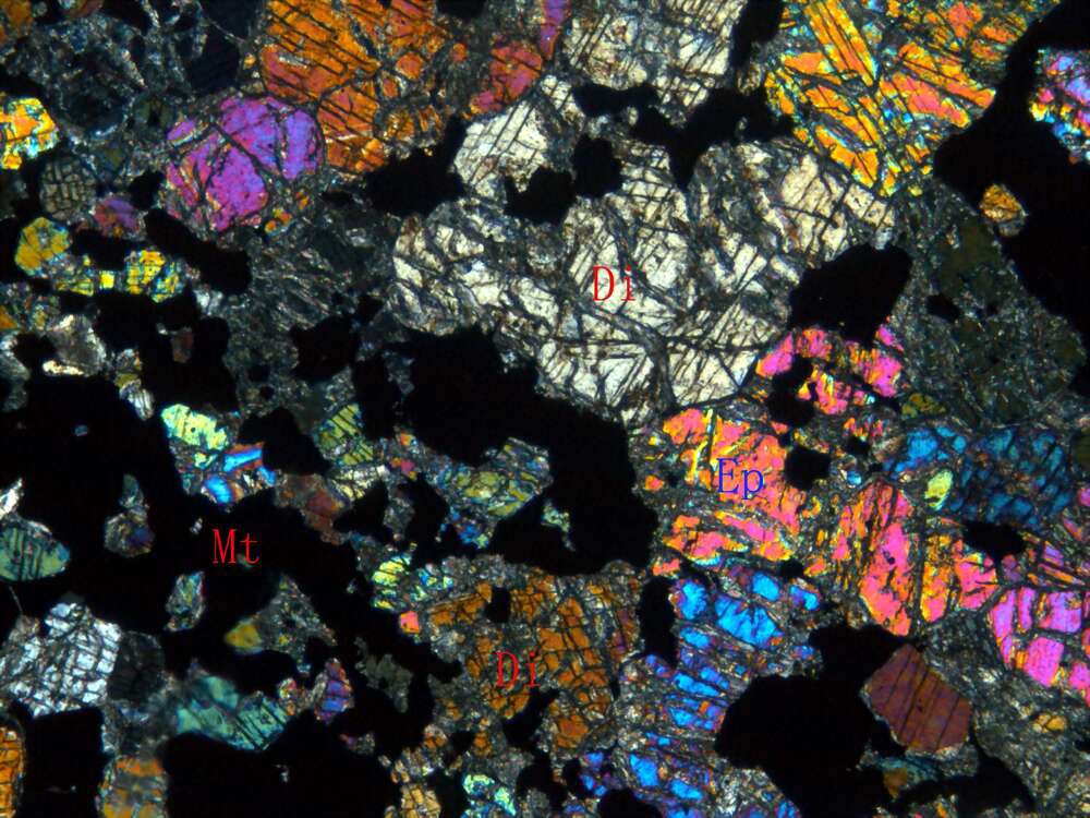含硫化磁铁矿化透辉石矽卡岩