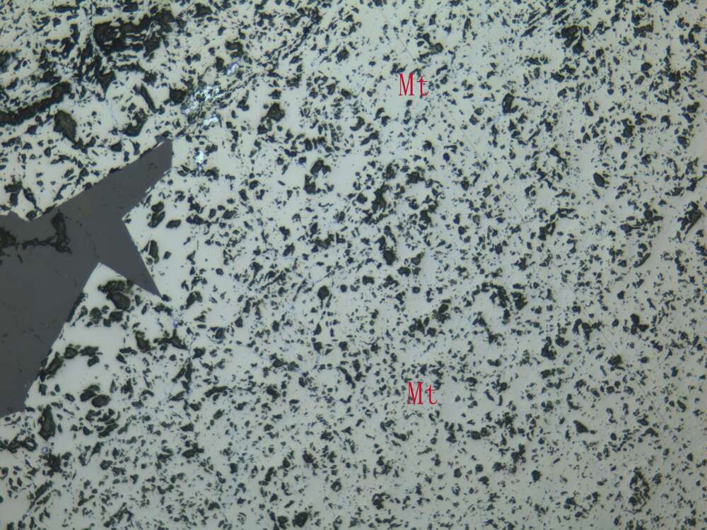 致密块状磁铁矿矿石