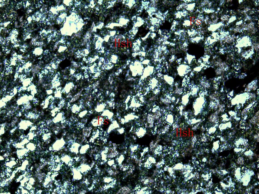 矿化弱蚀变凝灰质中细粒砂岩