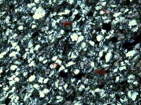 矿化弱蚀变凝灰质中细粒砂岩