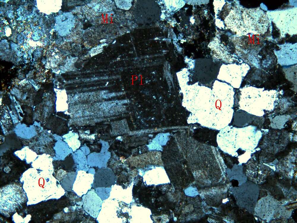 似斑状二长花岗岩