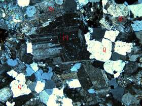 似斑状二长花岗岩