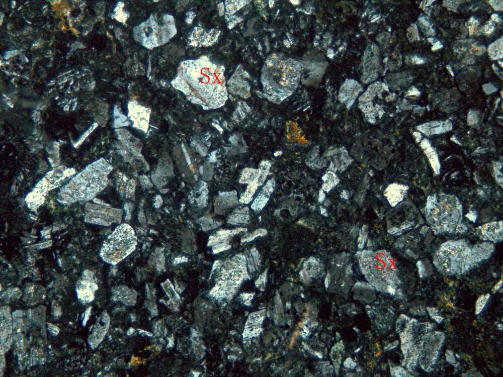 蚀变凝灰质含砾砂岩