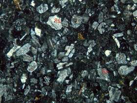 蚀变凝灰质含砾砂岩