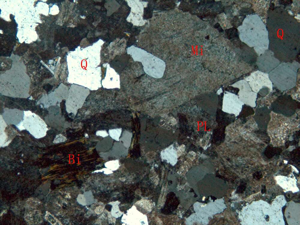 似斑状二长花岗岩