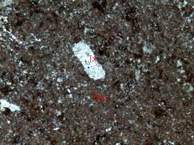 玻屑火山灰凝灰岩