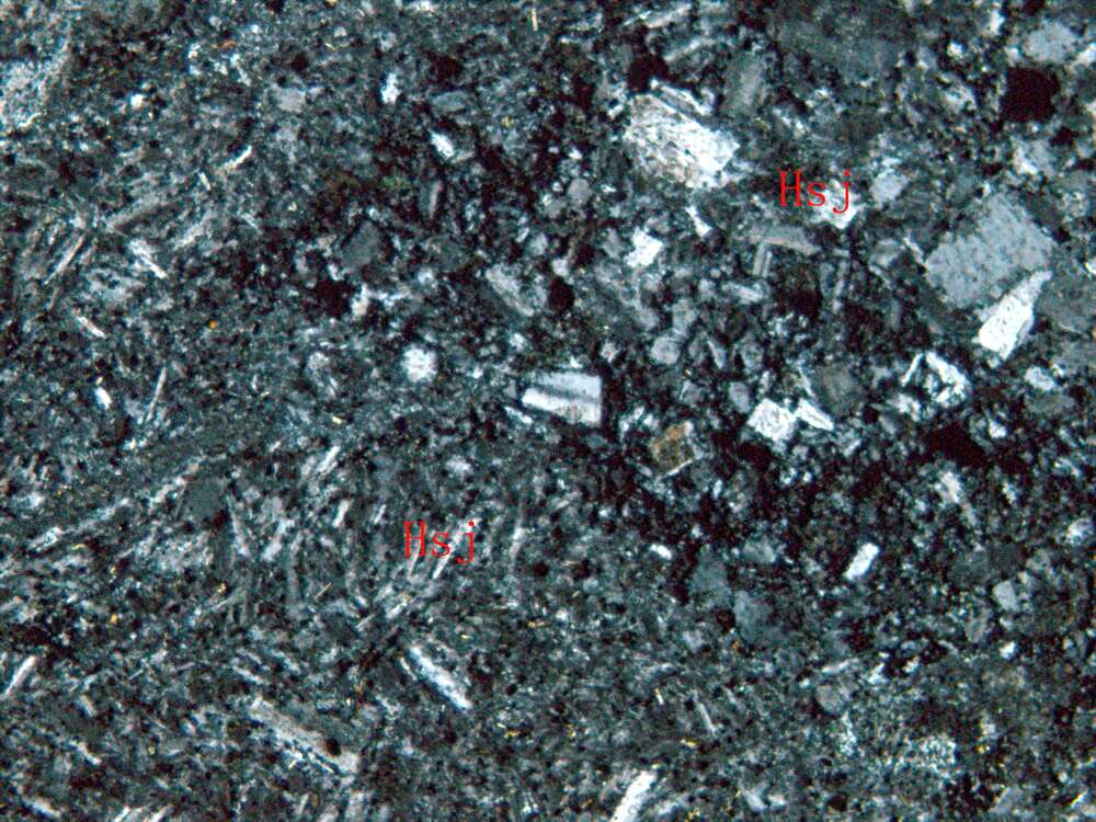 弱蚀变安山质火山角砾岩