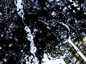 铜铁矿矿石-石榴石矽卡岩