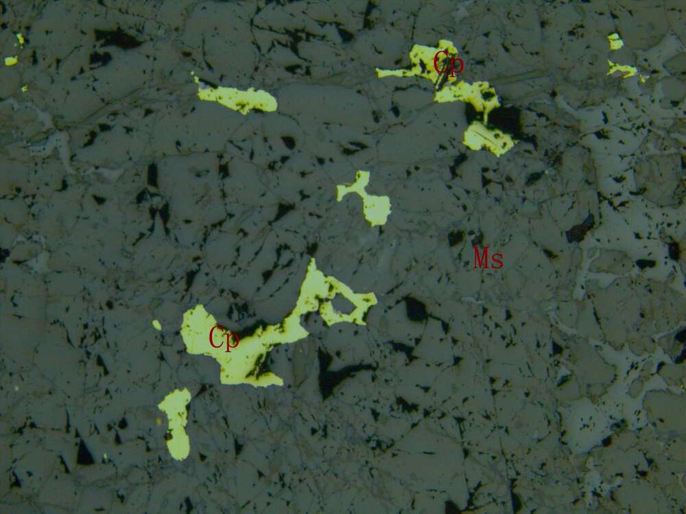 闪锌矿黄铜矿化透辉石矽卡岩