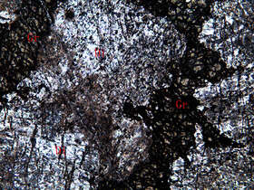 全碳酸盐化石榴石透辉石矽卡岩