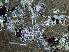 强绿帘石化矽卡岩（石榴石矽卡岩）