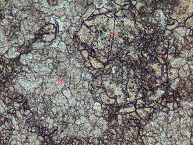 石榴石-透辉石矽卡岩