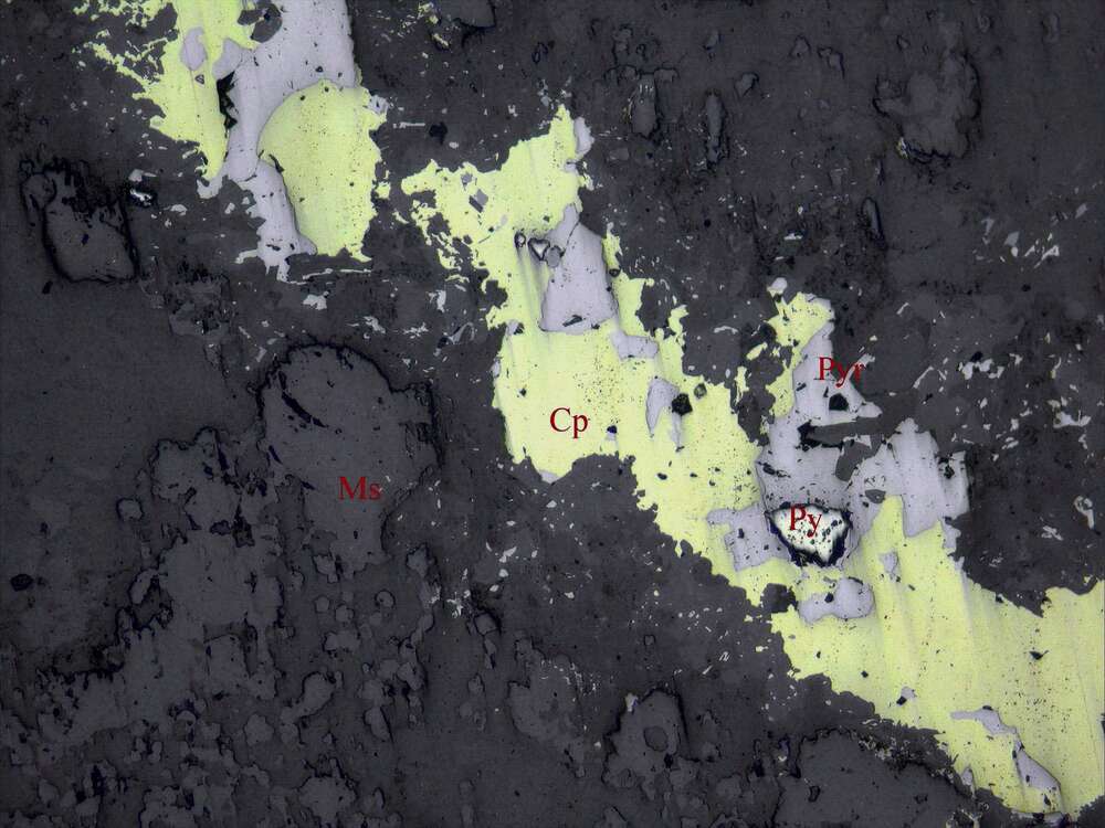 黄铜矿化磁黄铁矿化 