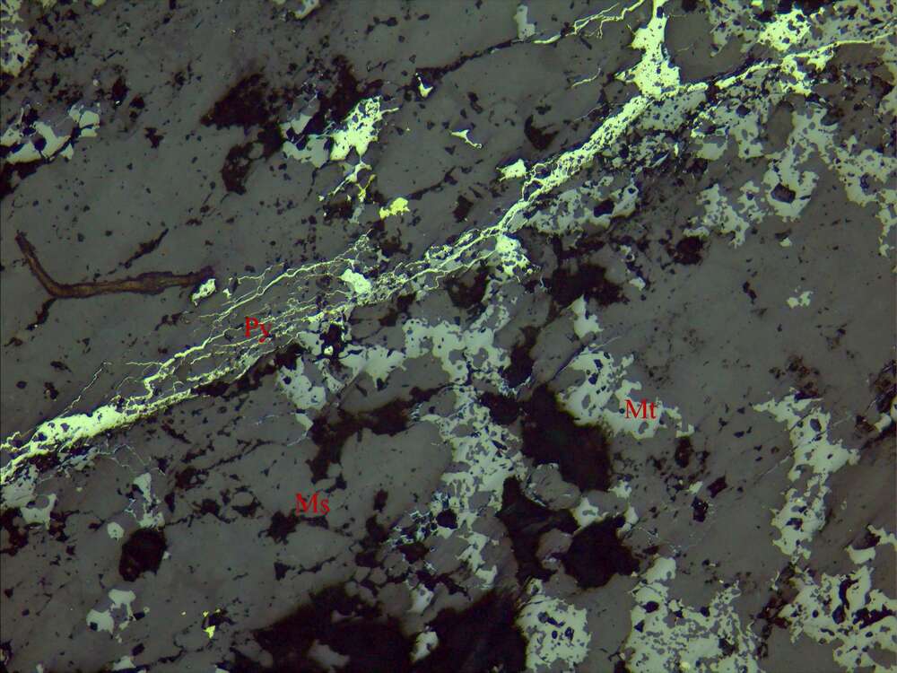 中等浸染状含铜磁铁矿磁黄铁矿矿石