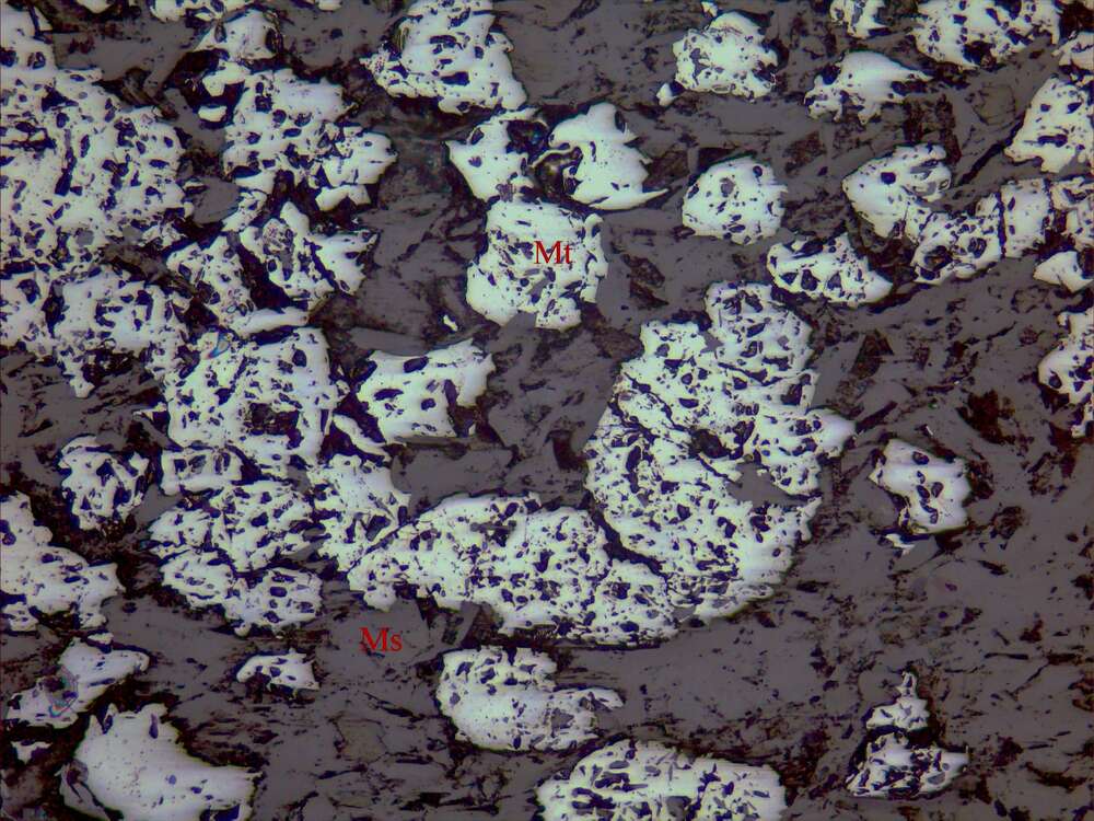 稀疏-中等浸染状磁铁矿矿石