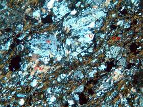 片理化磁铁矿化绿泥石石英闪长岩