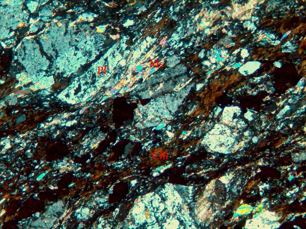 磁铁矿化蚀变石英闪长岩