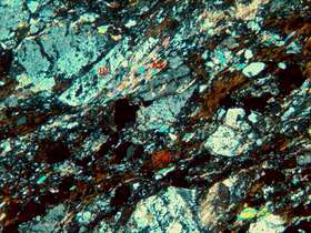 磁铁矿化蚀变石英闪长岩