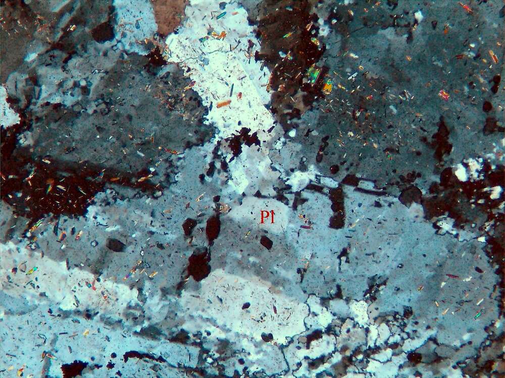 黄铁矿化长英岩脉