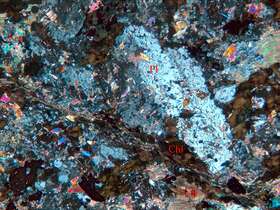 黄铁矿化细粒闪长岩